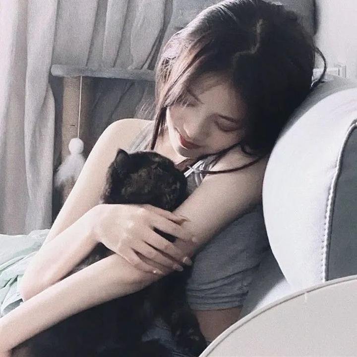 男孩、鼹鼠、狐狸与马