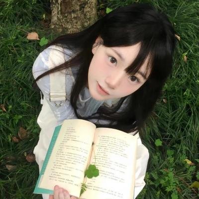 神烦警探第八季